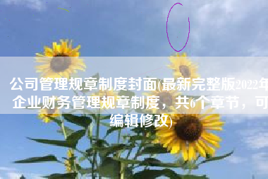 公司管理规章制度封面(最新完整版2022年企业财务管理规章制度，共6个章节，可编辑修改)