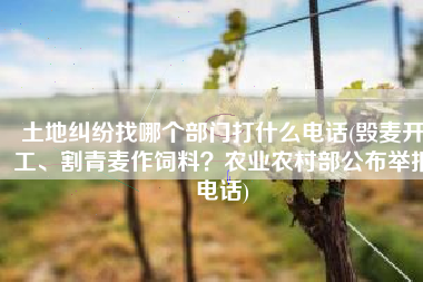 土地纠纷找哪个部门打什么电话(毁麦开工、割青麦作饲料？农业农村部公布举报电话)