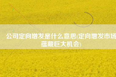 公司定向增发是什么意思(定向增发市场蕴藏巨大机会)