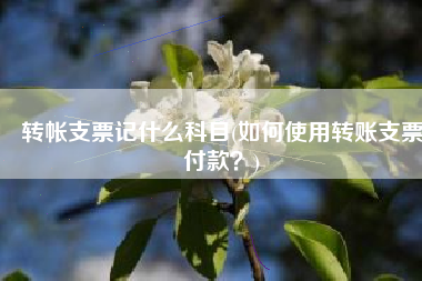 转帐支票记什么科目(如何使用转账支票付款？)