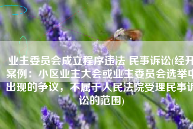 业主委员会成立程序违法 民事诉讼(经开案例：小区业主大会或业主委员会选举中出现的争议，不属于人民法院受理民事诉讼的范围)