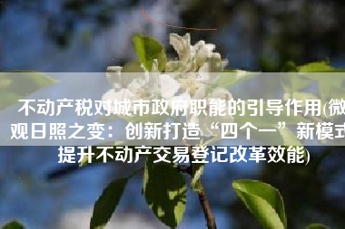不动产税对城市政府职能的引导作用(微观日照之变：创新打造“四个一”新模式 提升不动产交易登记改革效能)