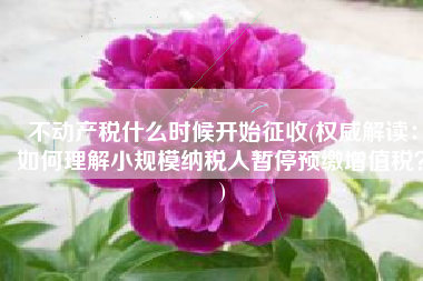不动产税什么时候开始征收(权威解读：如何理解小规模纳税人暂停预缴增值税？)