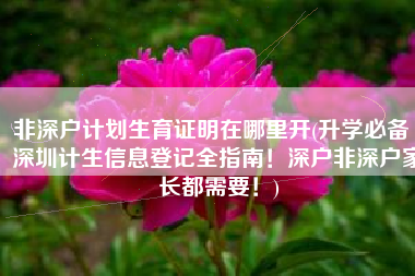 非深户计划生育证明在哪里开(升学必备｜深圳计生信息登记全指南！深户非深户家长都需要！)