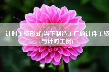 计时工资形式(当下制造工厂的计件工资与计时工资)