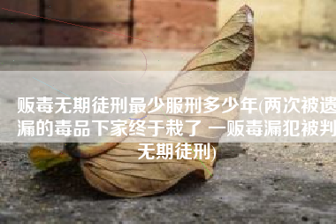 贩毒无期徒刑最少服刑多少年(两次被遗漏的毒品下家终于栽了 一贩毒漏犯被判无期徒刑)