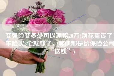 交强险交多少可以理赔20万(别花冤钱了！车险买3个就够了，其他都是给保险公司“送钱”)