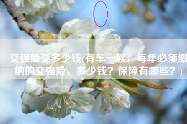 交强险交多少钱(有车一族，每年必须缴纳的交强险，多少钱？保障有哪些？)