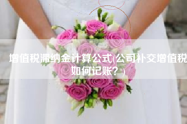 增值税滞纳金计算公式(公司补交增值税如何记账？)