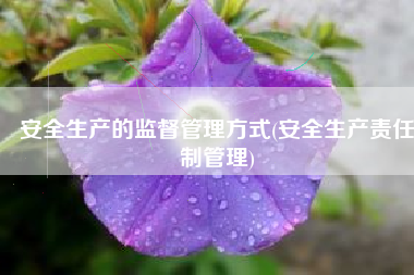 安全生产的监督管理方式(安全生产责任制管理)