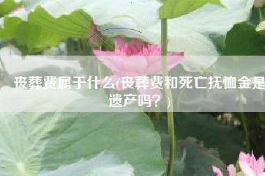 丧葬费属于什么(丧葬费和死亡抚恤金是遗产吗？)