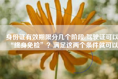 身份证有效期限分几个阶段(驾驶证可以“终身免检”？满足这两个条件就可以)