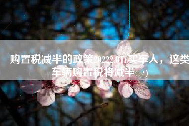 购置税减半的政策20222.0T(买车人，这类车辆购置税将减半→)
