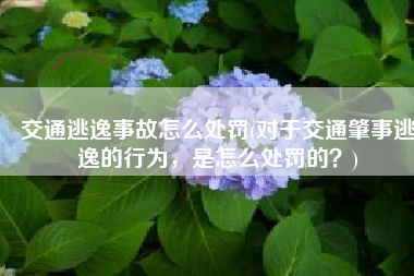 交通逃逸事故怎么处罚(对于交通肇事逃逸的行为，是怎么处罚的？)
