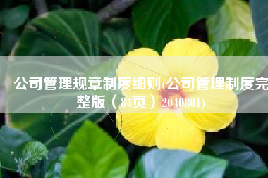 公司管理规章制度细则(公司管理制度完整版（84页）2040801)