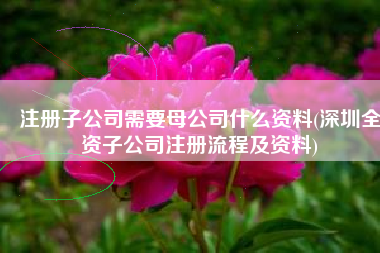 注册子公司需要母公司什么资料(深圳全资子公司注册流程及资料)
