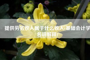 提供劳务收入属于什么收入(基础会计学名词解释)