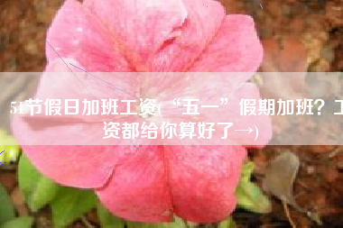 51节假日加班工资(“五一”假期加班？工资都给你算好了→)