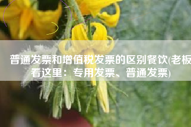 普通发票和增值税发票的区别餐饮(老板看这里：专用发票、普通发票)