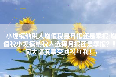 小规模纳税人增值税是月报还是季报(增值税小规模纳税人选择月报还是季报？如何大幅度享受减税红利！)