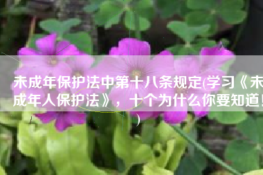 未成年保护法中第十八条规定(学习《未成年人保护法》，十个为什么你要知道！)