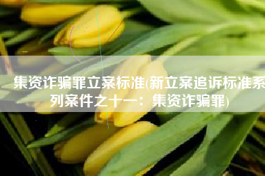 集资诈骗罪立案标准(新立案追诉标准系列案件之十一：集资诈骗罪)