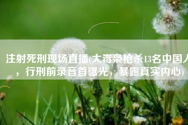 注射死刑现场直播(大毒枭枪杀13名中国人，行刑前录音首曝光，暴露真实内心)