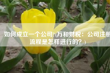 如何成立一个公司?(万和财税：公司注册流程是怎样进行的？)