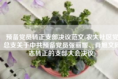 预备党员转正支部决议范文(农大社区党总支关于中共预备党员张丽媛、肖旭文同志转正的支部大会决议)
