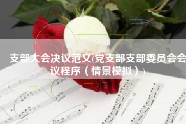支部大会决议范文(党支部支部委员会会议程序（情景模拟）)