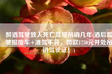 醉酒驾驶致人死亡驾照吊销几年(酒后驾驶报废车+准驾不符，罚款1750元并处吊销驾驶证！)