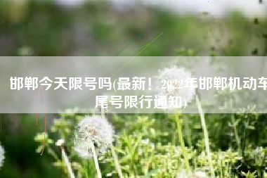 邯郸今天限号吗(最新！2022年邯郸机动车尾号限行通知)