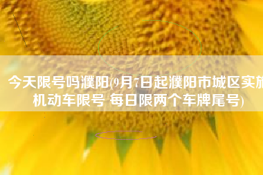 今天限号吗濮阳(9月7日起濮阳市城区实施机动车限号 每日限两个车牌尾号)