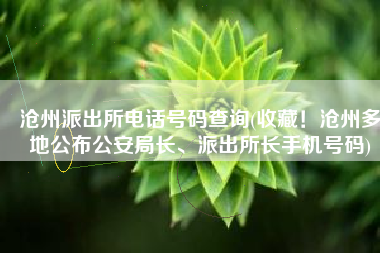 沧州派出所电话号码查询(收藏！沧州多地公布公安局长、派出所长手机号码)