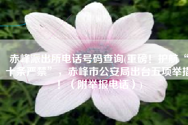 赤峰派出所电话号码查询(重磅！护航“十条严禁”，赤峰市公安局出台五项举措！（附举报电话）)