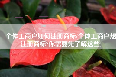 个体工商户如何注册商标(个体工商户想注册商标?你需要先了解这些)