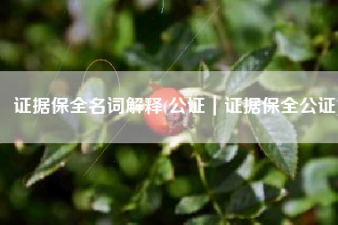 证据保全名词解释(公证｜证据保全公证)