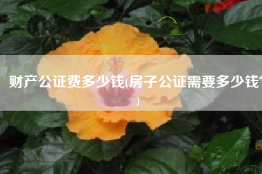 财产公证费多少钱(房子公证需要多少钱？)