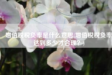 增值税税负率是什么意思(增值税税负率达到多少才合理？)