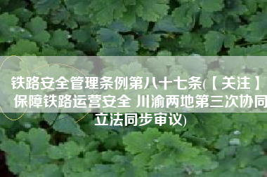 铁路安全管理条例第八十七条(【关注】 保障铁路运营安全 川渝两地第三次协同立法同步审议)