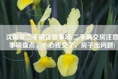 沈阳买二手房注意事项(二手房交房注意事项盘点，小心钱交了，房子出问题)