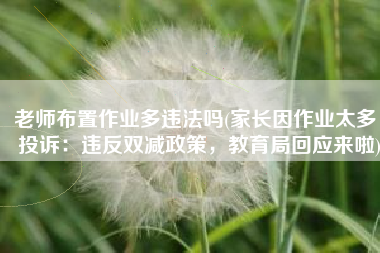 老师布置作业多违法吗(家长因作业太多，投诉：违反双减政策，教育局回应来啦)