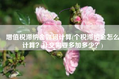 增值税滞纳金如何计算(个税滞纳金怎么计算？补交需要多加多少？)