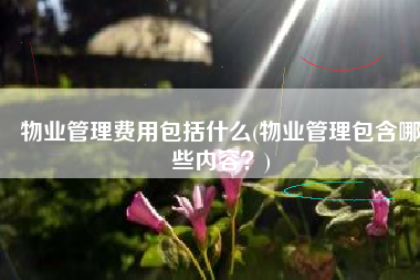 物业管理费用包括什么(物业管理包含哪些内容？)