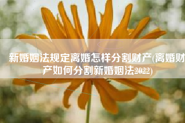 新婚姻法规定离婚怎样分割财产(离婚财产如何分割新婚姻法2022)
