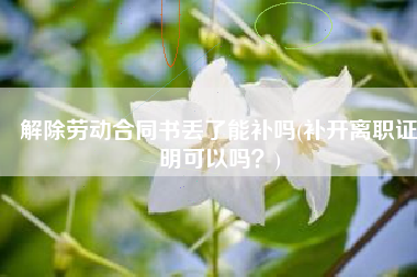 解除劳动合同书丢了能补吗(补开离职证明可以吗？)