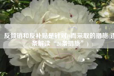 反倾销和反补贴是针对()而采取的措施(逐条解读“26条措施”)