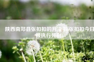 陕西南郑县张扣扣的判决书(张扣扣今日被执行死刑)
