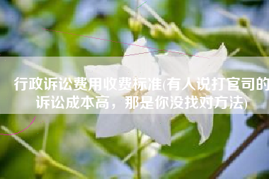 行政诉讼费用收费标准(有人说打官司的诉讼成本高，那是你没找对方法)