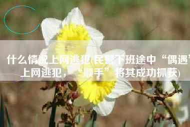 什么情况上网逃犯(民警下班途中“偶遇”上网逃犯，“顺手”将其成功抓获)